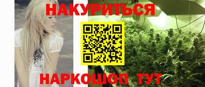 spice Моздок