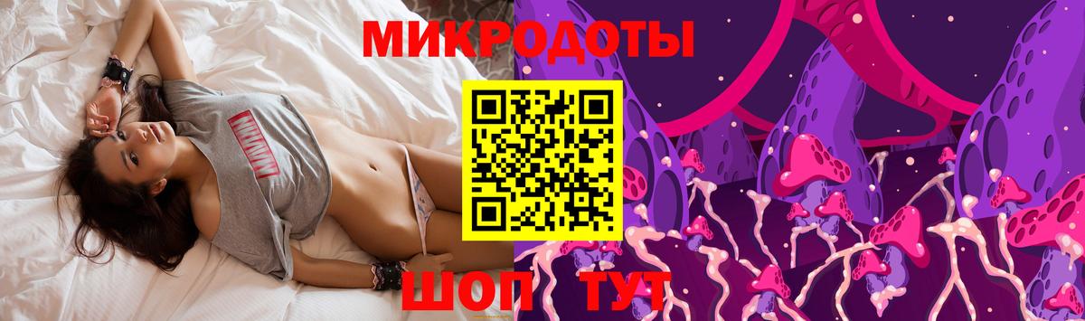 Хасавюрт  Псилоцибиновые грибы мицелий  Вход с VPN 